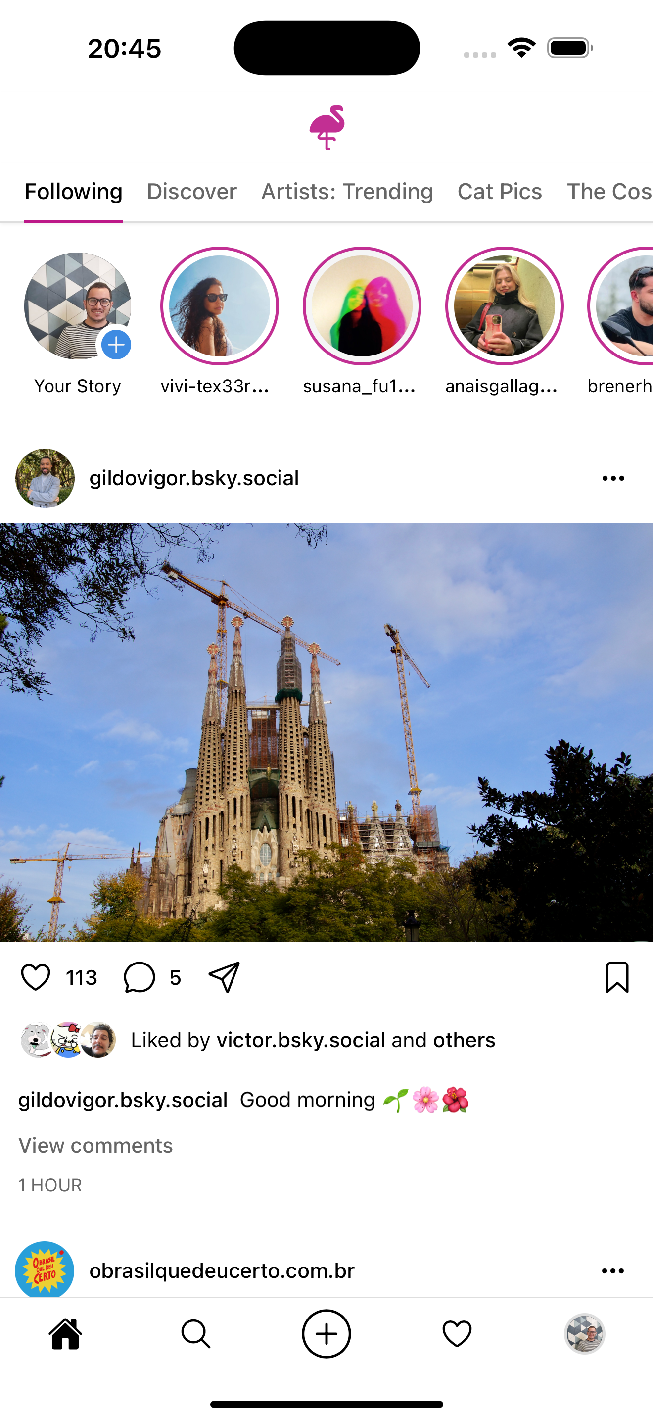 Screenshot of user feed